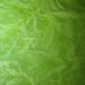 Apple Green metallic epoxy floor color